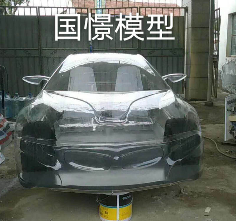衡东县透明车模型